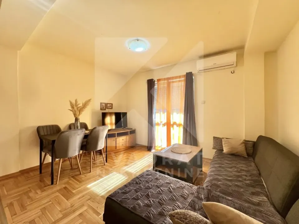 Rent, one bedroom apartment, 40m², Zagorič, Podgorica