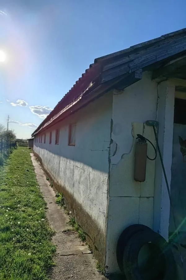 Rent, office space, 500m², Pudarci, Grocka