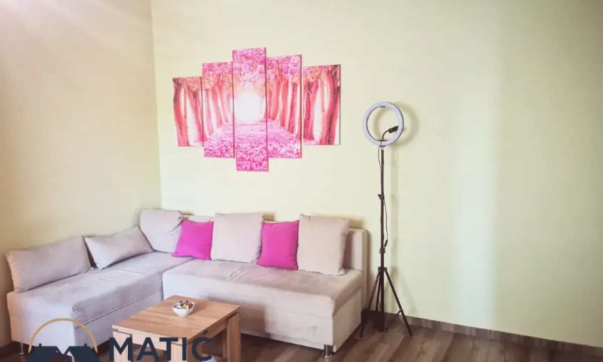 Izdavanje, dvosoban stan, 56m², Centar, Novi Sad