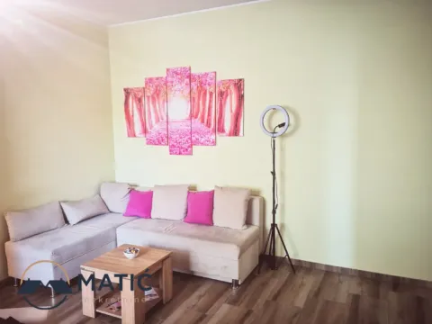 Izdavanje, dvosoban stan, 56m², Centar, Novi Sad