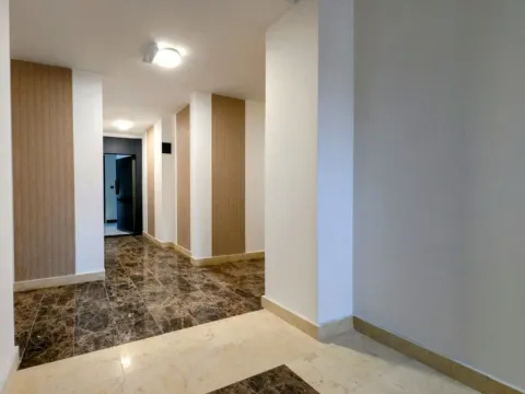 Prodaja, dvosoban stan, 106m², Vezirov Most, Podgorica - image 2