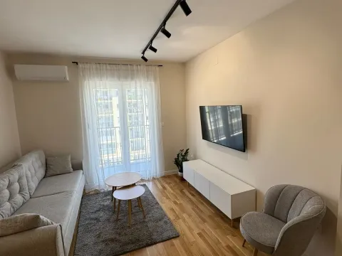 Izdavanje, jednosoban stan, 40m², Tuški Put, Podgorica - image 7