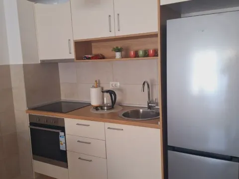Rent, one bedroom apartment, 45m², Stari Aerodrom, Podgorica - image 5