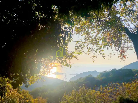 Prodaja, plac, 1778m², Buljarica, Budva - image 5