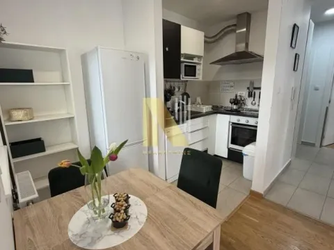 Izdavanje, dvosoban stan, 48m², Nova Detelinara, Novi Sad Sve Podlokacije - image 4