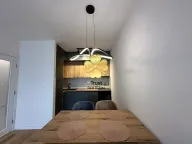 Izdavanje, jednosoban stan, 50m², Central Point, Podgorica - image 3