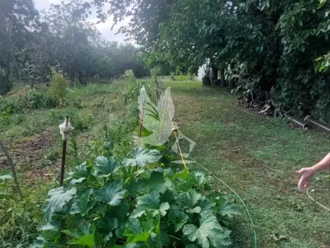 Sale, house, 100m², Velika Krsna, Mladenovac - image 7