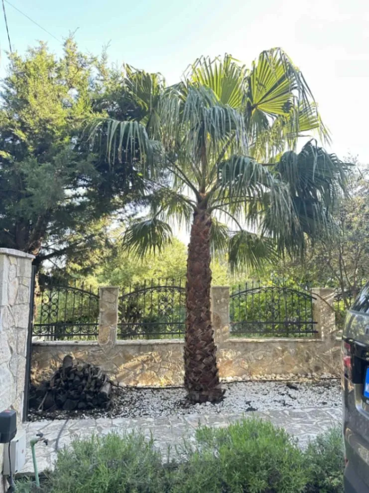 Sale, house, 183m², Zagrađe, Bar