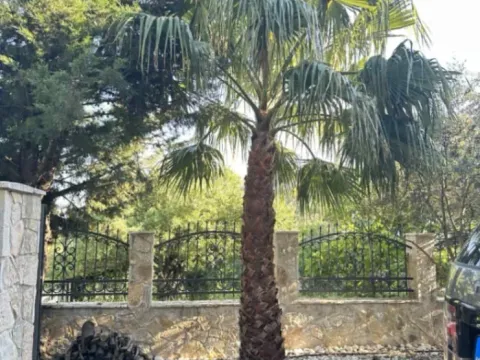 Prodaja, kuća, 183m², Zagrađe, Bar - image 5