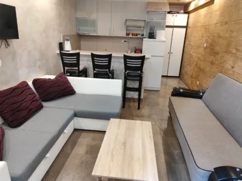 Izdavanje, jednosoban stan, 45m², Rafailovići, Budva