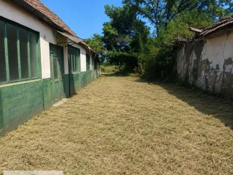 Prodaja, plac, 700m², Bač, Novi Sad - image 2