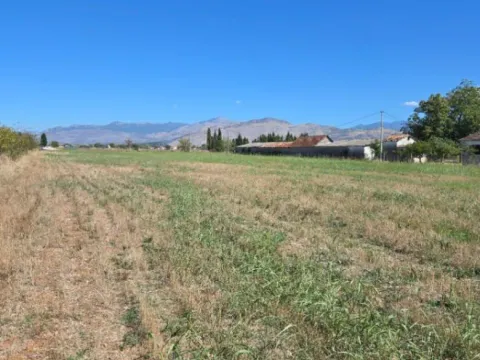 Prodaja, plac, 7000m², Zeta, Podgorica - image 6