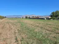 Prodaja, plac, 7000m², Zeta, Podgorica - image 6