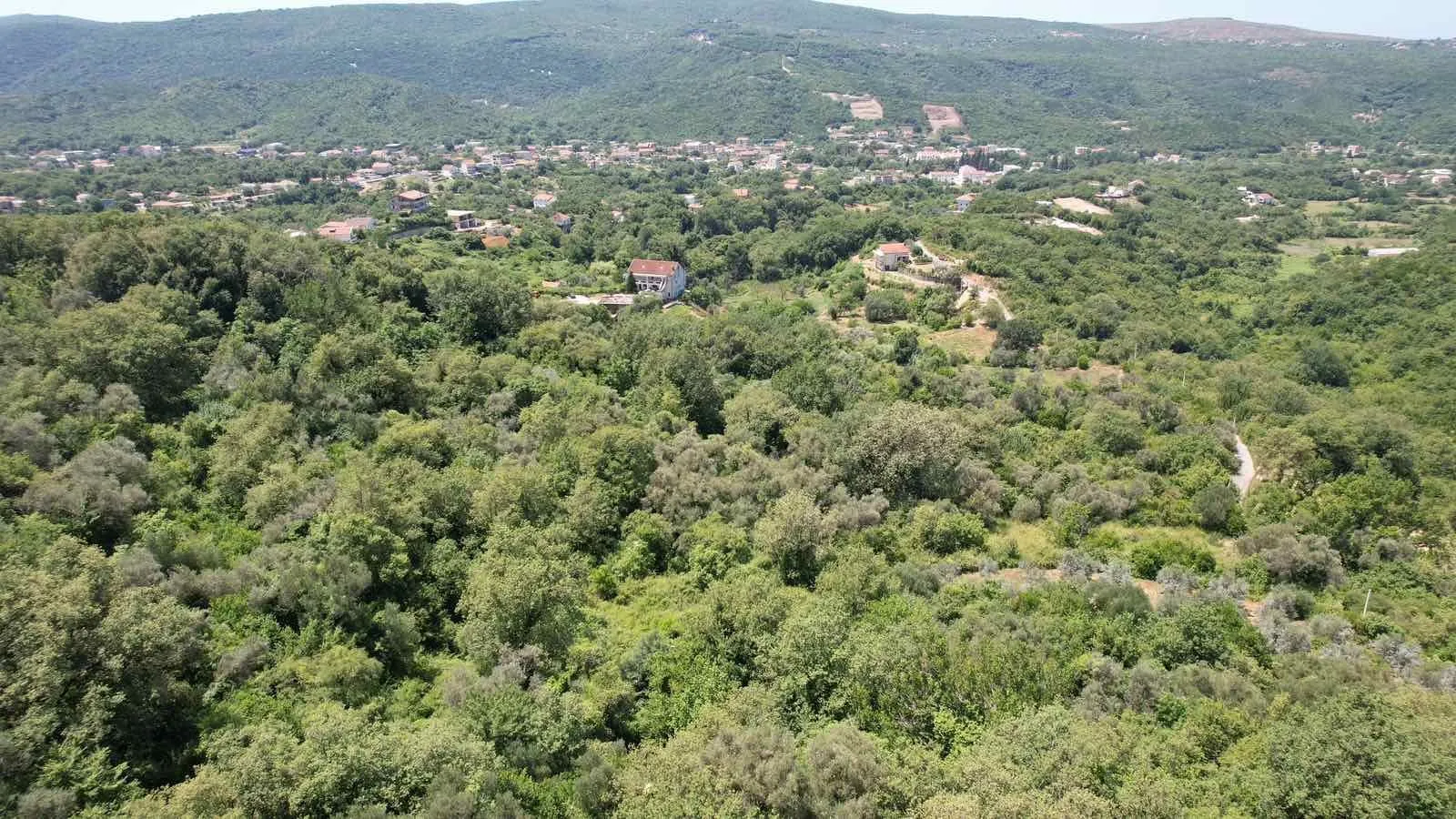 Prodaja, plac, 3000m², Radanovići, Kotor