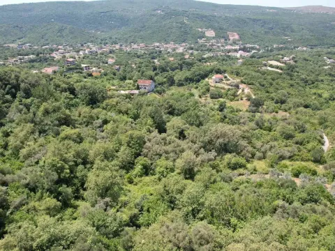 Prodaja, plac, 3000m², Radanovići, Kotor - image 4