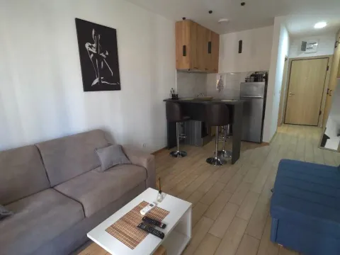 Rent, studio apartment, 32m², Golubovina, Budva - image 3