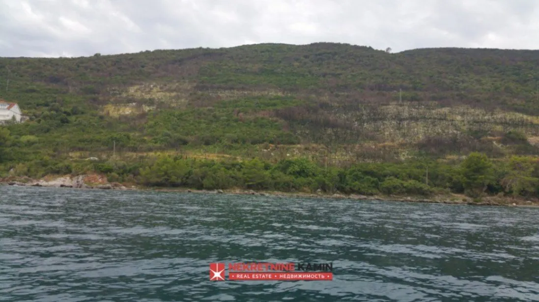 Prodaja, plac, 55000m², Krašići, Tivat
