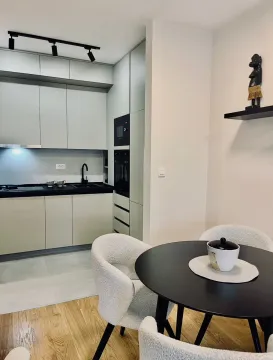 Rent, one bedroom apartment, 40m², Central Point, Podgorica - image 4