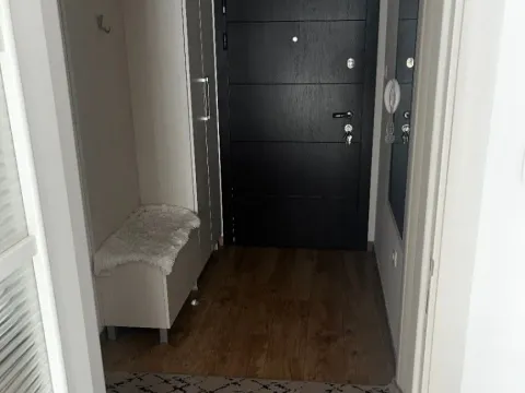 Prodaja, jednosoban stan, 45m², Zagorič, Podgorica - image 3