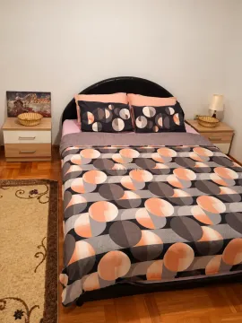 Bedroom with a double bed, nightstands, and a rug. - image 8