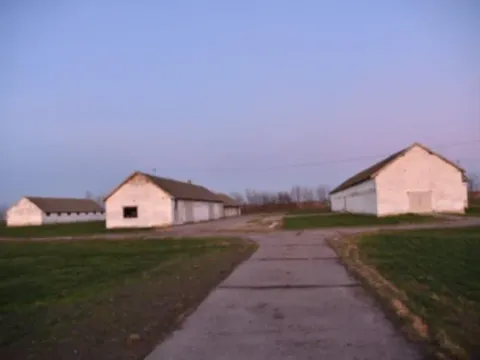 Prodaja, plac, 98000m², Vrbas, Novi Sad - image 9