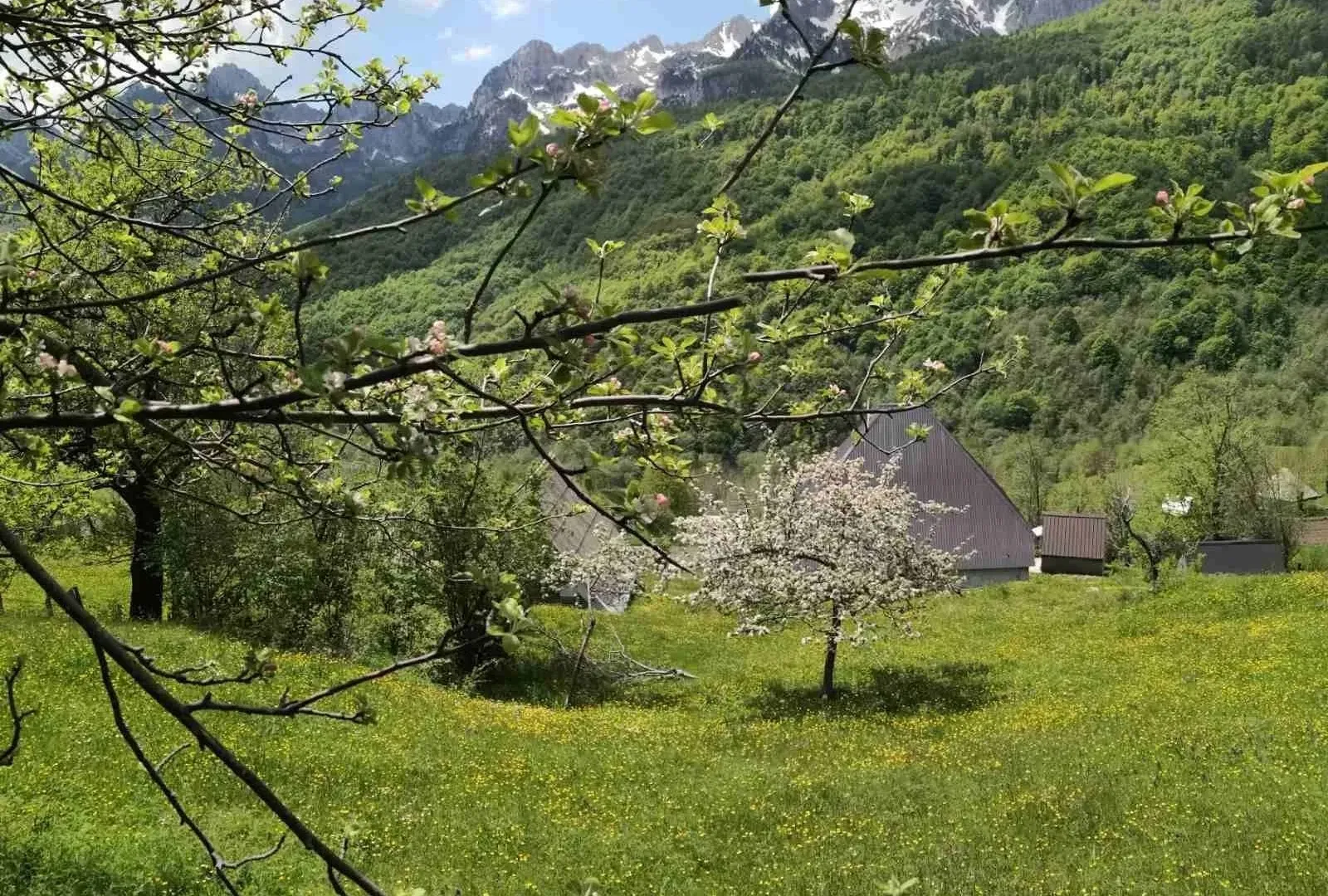 Prodaja, plac, 2140m², Donje Lipovo, Kolašin