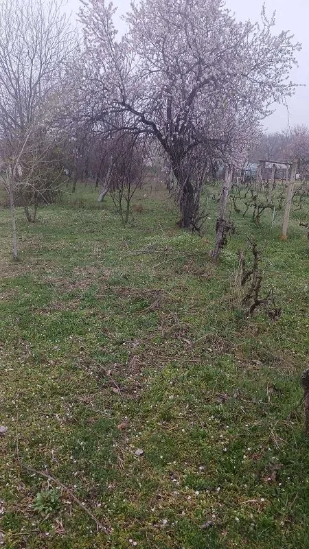 Prodaja, kuća, 70m², Krčedin, Inđija