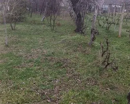 Prodaja, kuća, 70m², Krčedin, Inđija - image 7