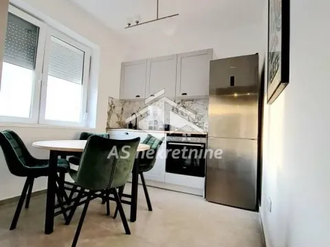 Izdavanje, dvosoban stan, 55m², Cvijićeva, Palilula Sve Podlokacije - image 6