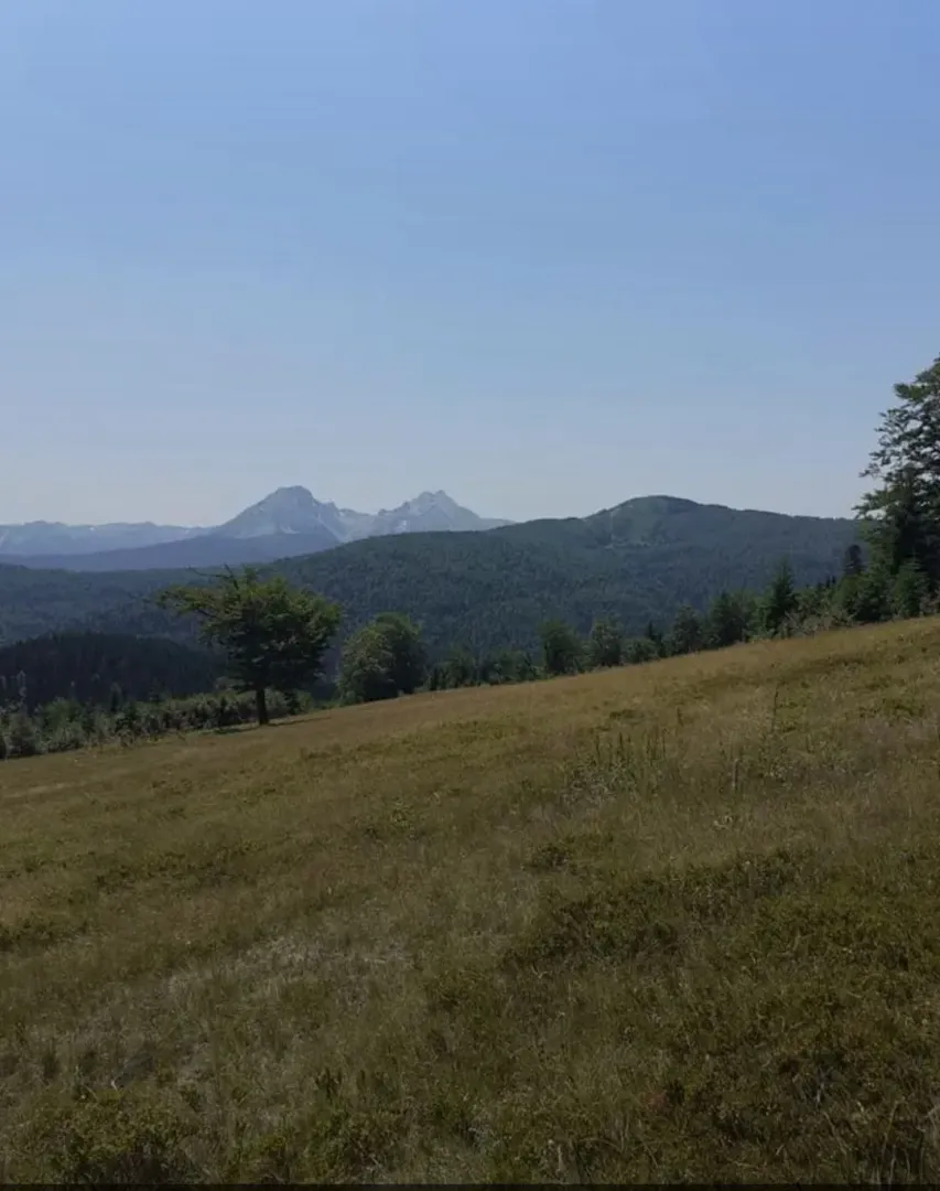 Pogled na planinski pejzaž sa livadom.