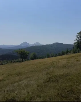 Pogled na planinski pejzaž sa livadom. - image 2