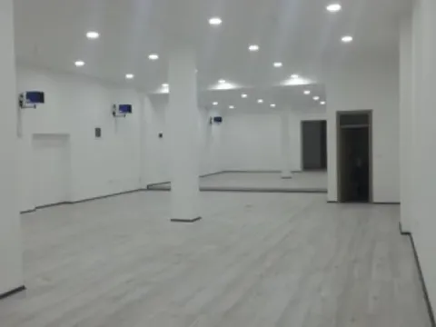 Izdavanje, poslovni prostor, 240m², Zemun Sve Podlokacije, Beograd - image 4