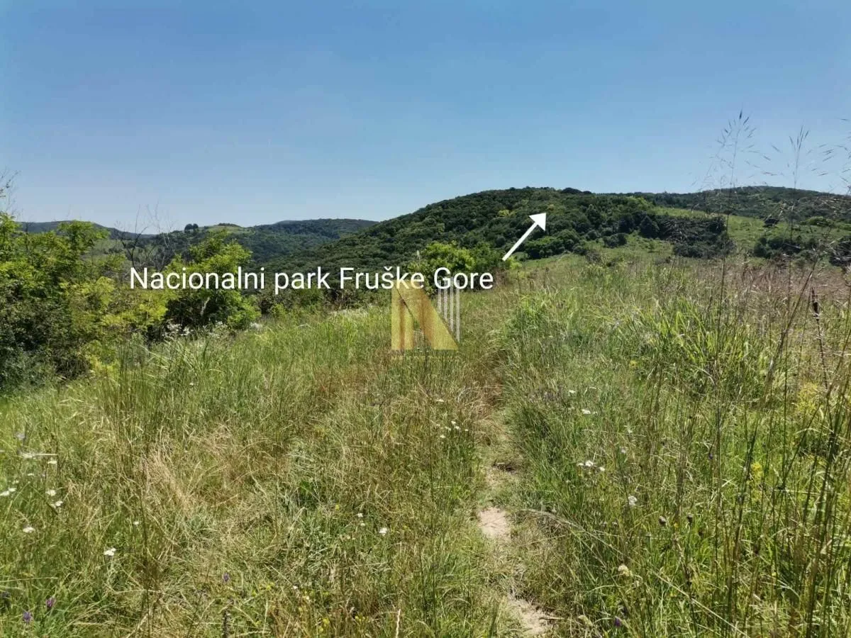 Prodaja, plac, 4204m², Rakovac, Novi Sad Sve Podlokacije