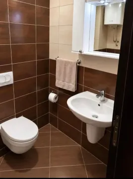 Manje kupatilo sa tamnim pločicama, umivaonikom i šoljom. - image 7