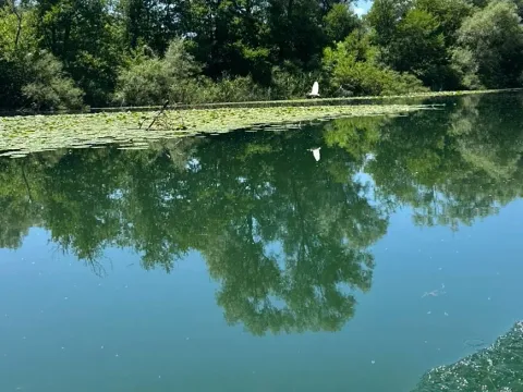 Prodaja, plac, 320m², Žabljak, Crna Gora - image 4