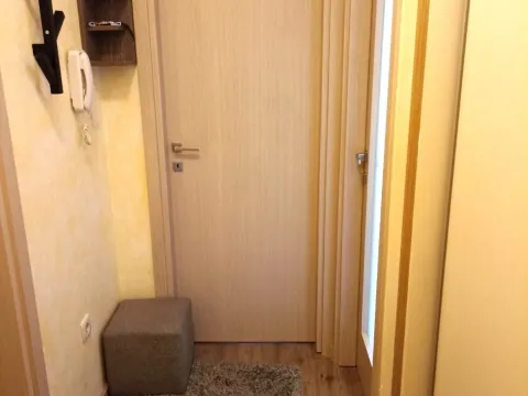 Izdavanje, jednosoban stan, 45m², City Kvart, Podgorica - image 5