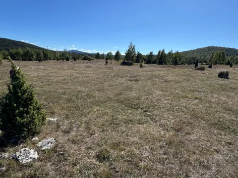 Prodaja, plac, 2063m², Borje, Žabljak - image 8