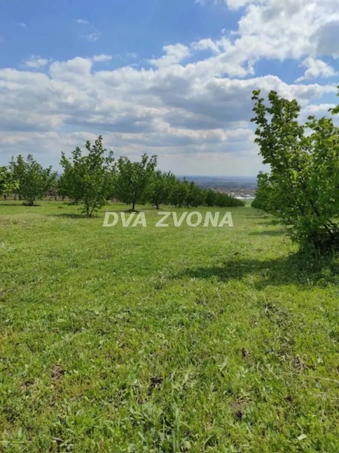 Prodaja, plac, 6800m², Stari Slankamen, Inđija