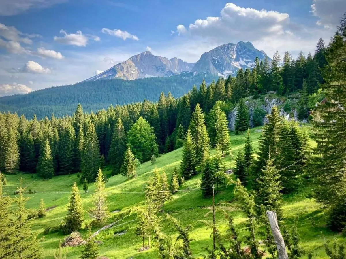 Prodaja, kuća, 375m², Žabljak, Crna Gora