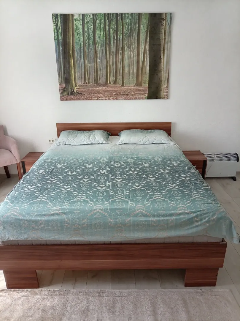 Spavaća soba sa bračnim krevetom i slikom šume na zidu.