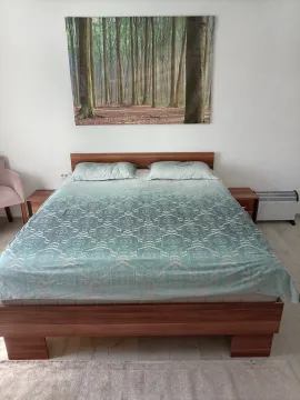 Spavaća soba sa bračnim krevetom i slikom šume na zidu. - image 7