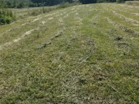 Prodaja, plac, 5554m², Jastreb, Danilovgrad - image 4