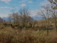 Sale, land lot, 9500m², Piperi, Podgorica - image 10