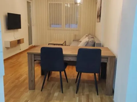 Rent, two bedroom apartment, 48m², Avijatičarsko naselje, Novi Sad Sve Podlokacije - image 9