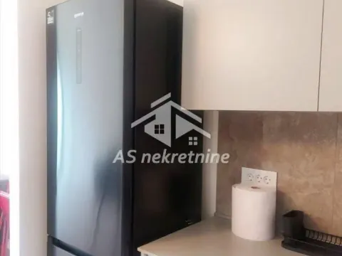 Izdavanje, dvosoban stan, 56m², Savski Venac, Beograd - image 3