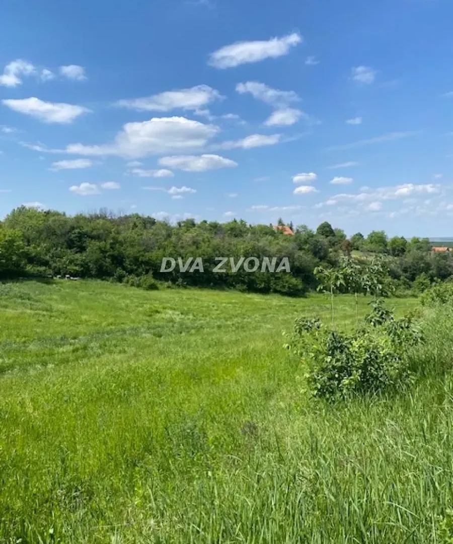 Prodaja, ugostiteljski objekat, 40m², Novi Slankamen, Inđija