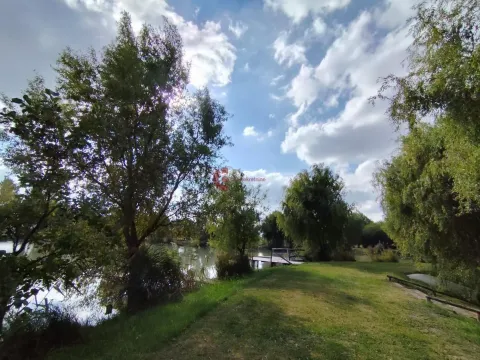 Prodaja, ugostiteljski objekat, 196m², Horgoš, Kanjiža - image 8