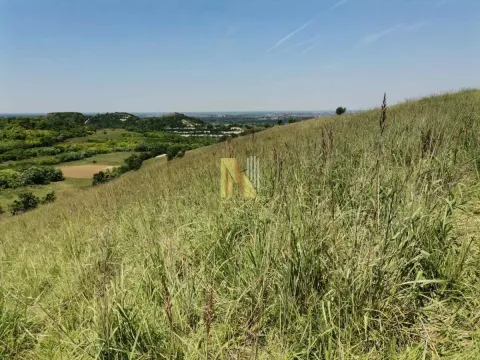 Prodaja, plac, 4200m², Beočin, Srbija - image 4