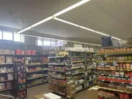 Prodaja, poslovni prostor, 613m², Beočin, Srbija - image 5