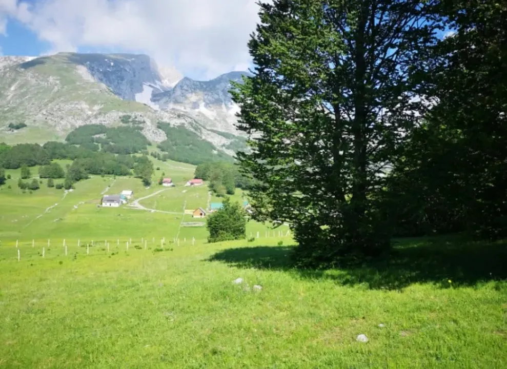 Sale, land lot, 11500m², Pošćenski Kraj, Žabljak